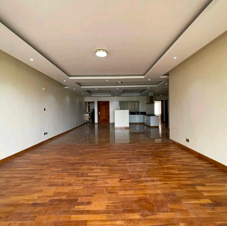 THREE BEDROOM PLUS SQ APARTMENT TO LET IN KILELESHWA